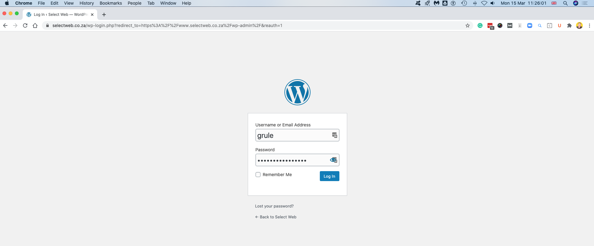 wordpress login